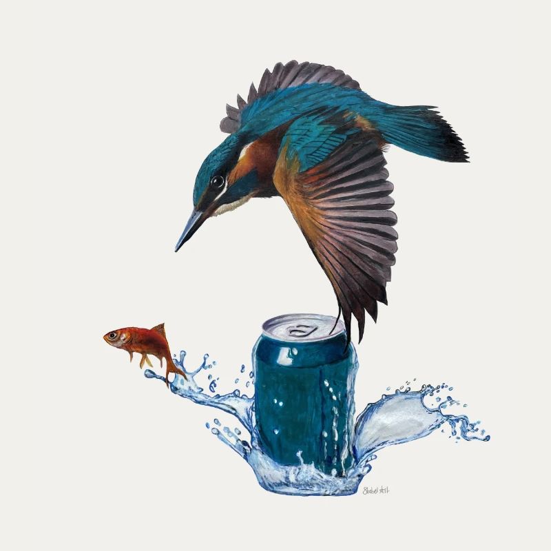 Eisvogel