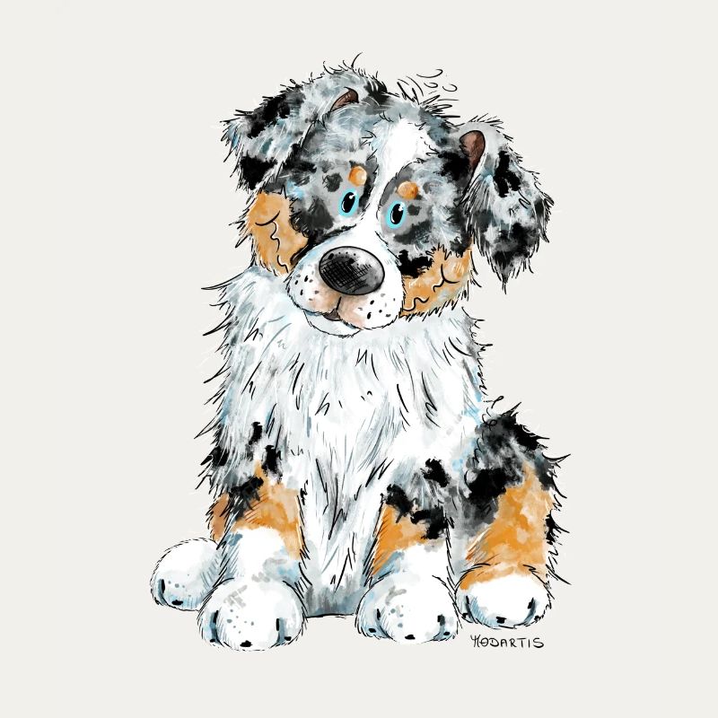 Australian Shepherd Dog Aussie