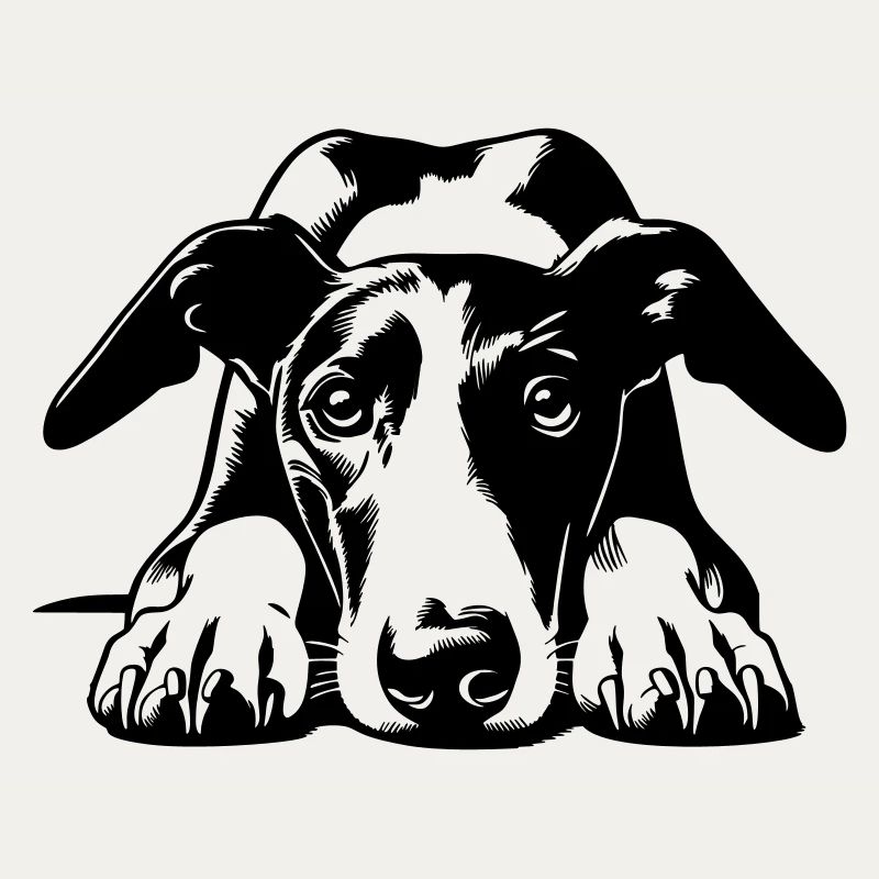 Galgo Head with Paws