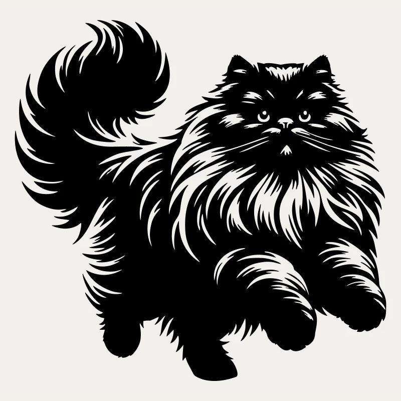 Chat persan - Persan