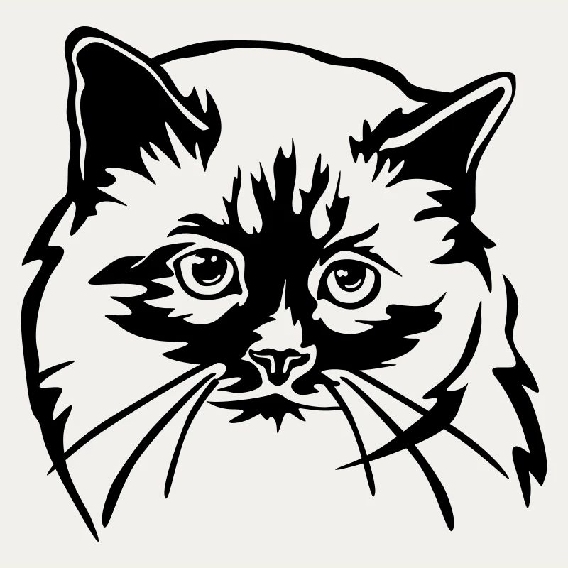 Birma Katze
