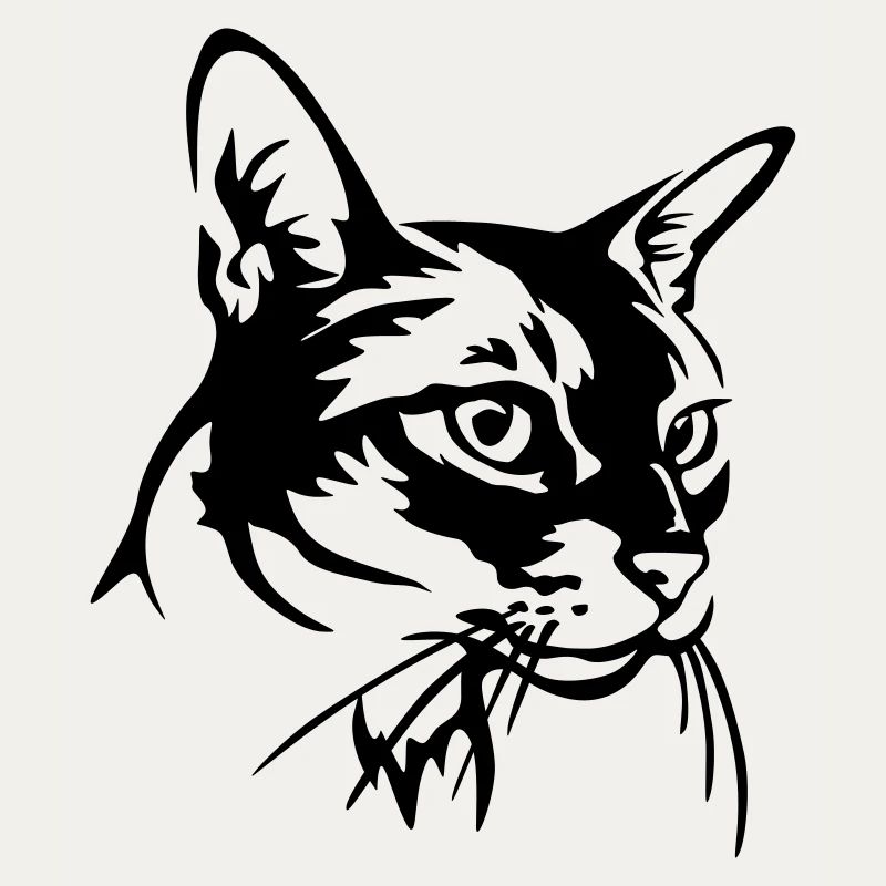 Abessiner Katze