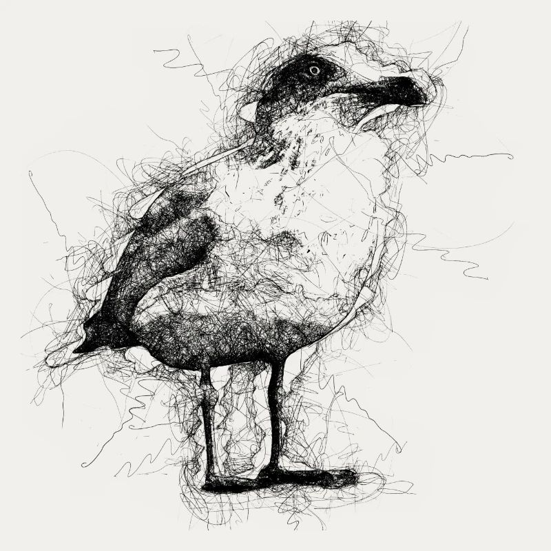 Möwe