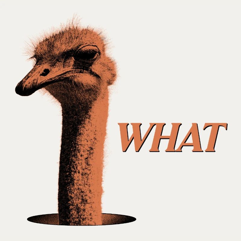 What?! – Grummelnder Strauß