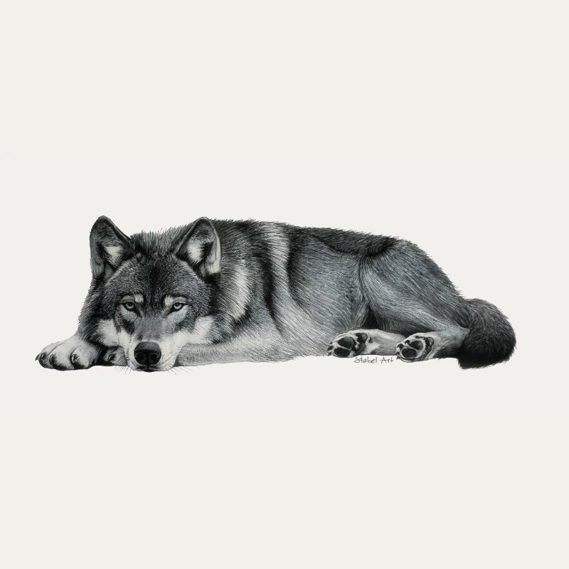 wolf