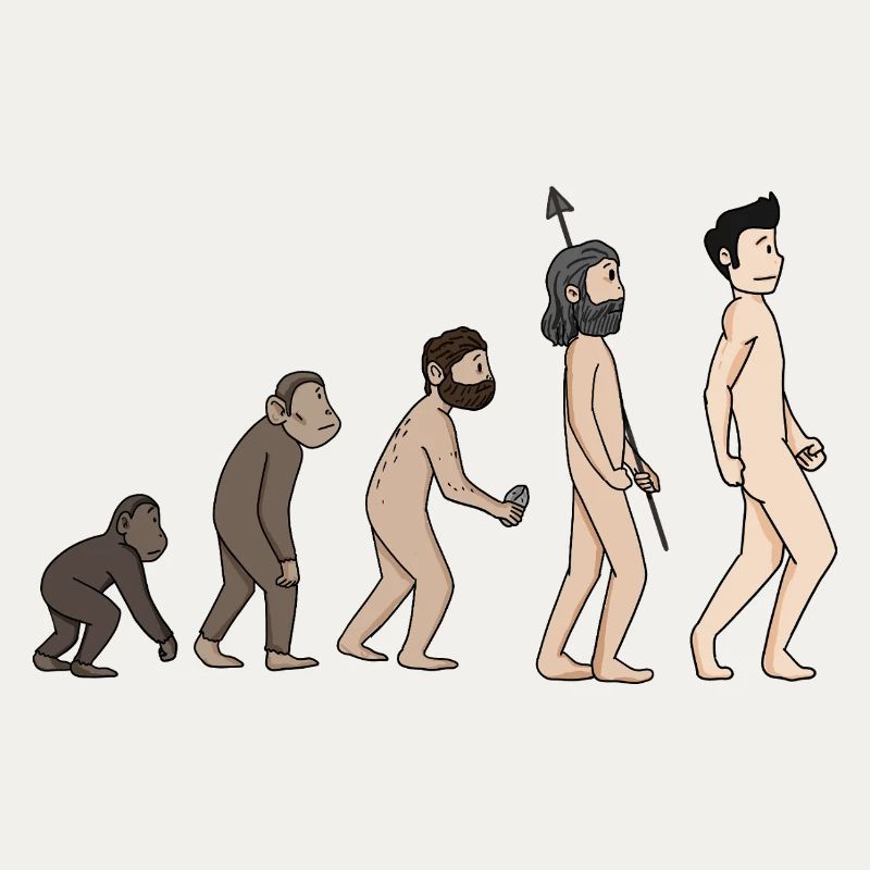 Human Development - Evolution Illustration