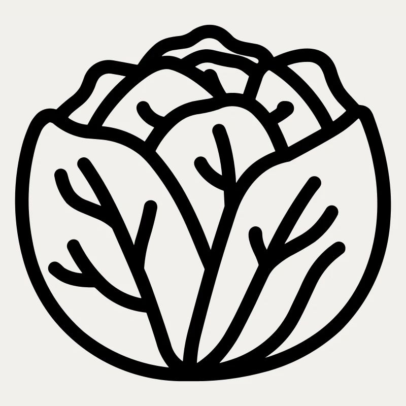cabbage