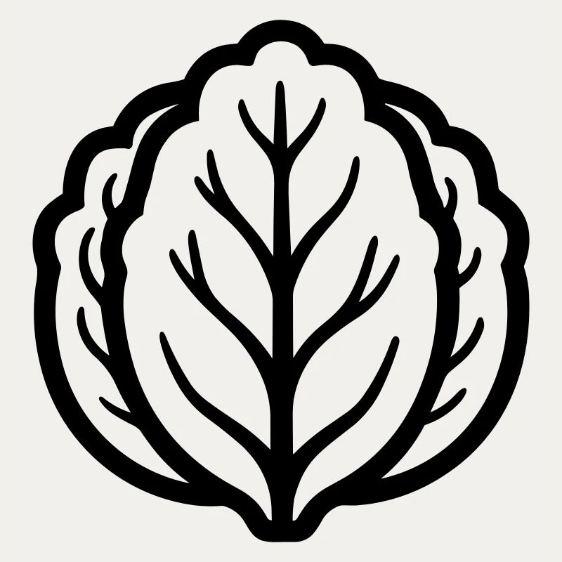 cabbage
