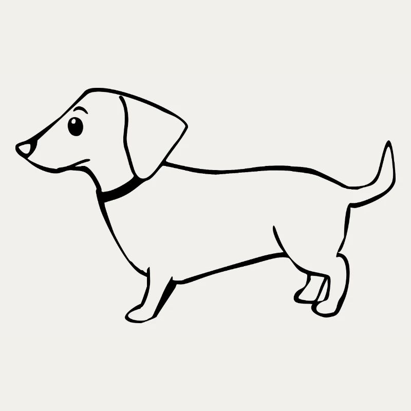 dachshund
