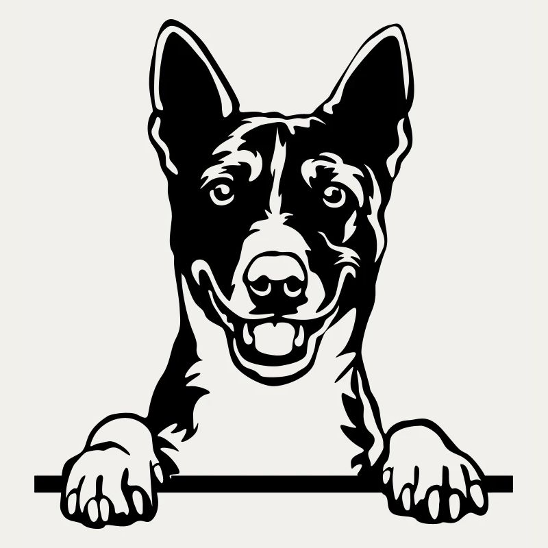 Basenji Kopf
