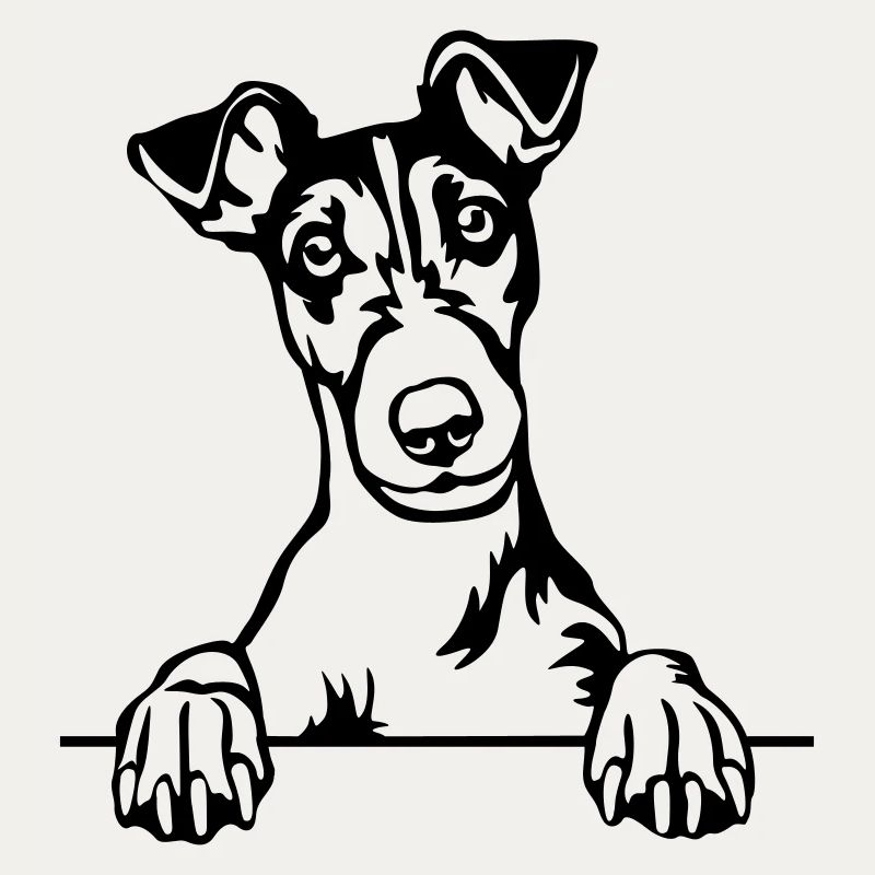 Tête de Fox Terrier