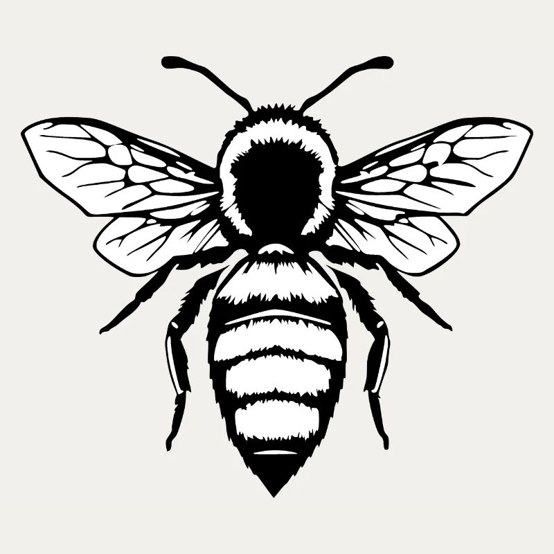 Bee Honey Bee Gift Beekeeper
