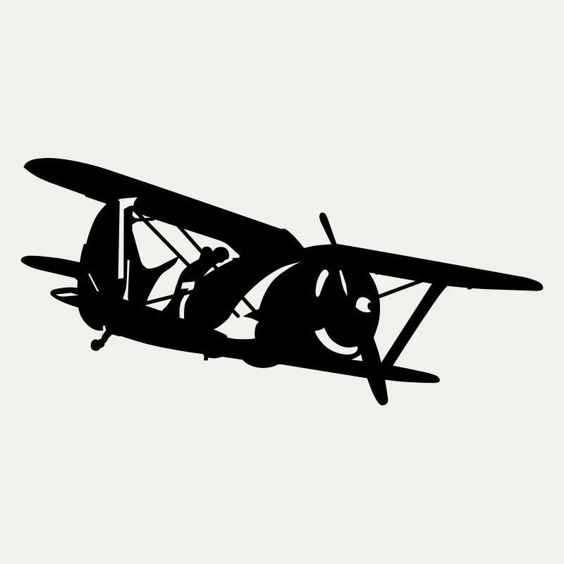 Biplane i-153
