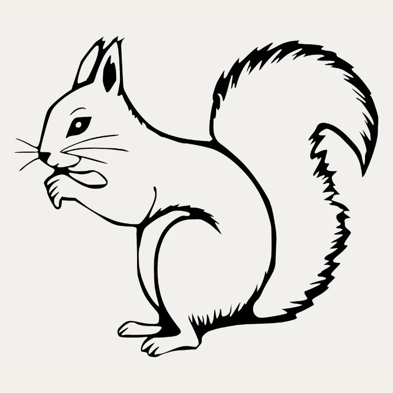 Squirrel