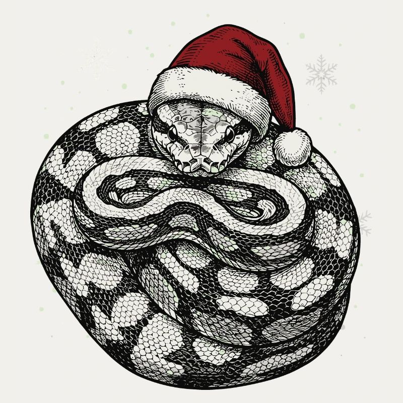 Königspython Weihnachten Ball Python Schlange