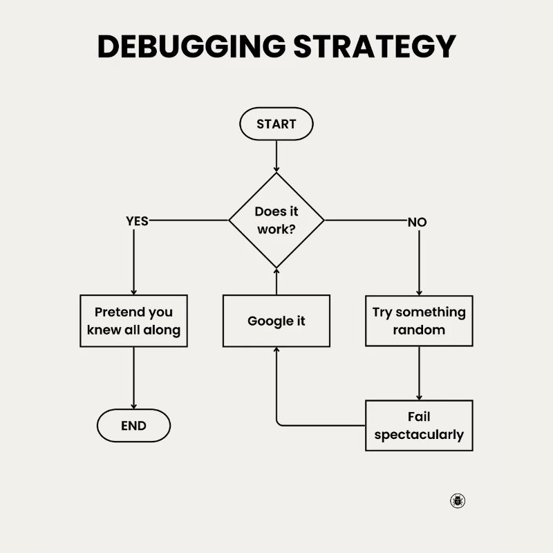 Debugging Strategy Flowchart - Does It Work Gift