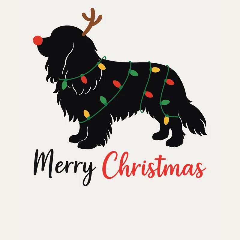 Cavalier King Charles Spaniel Noël Hiver