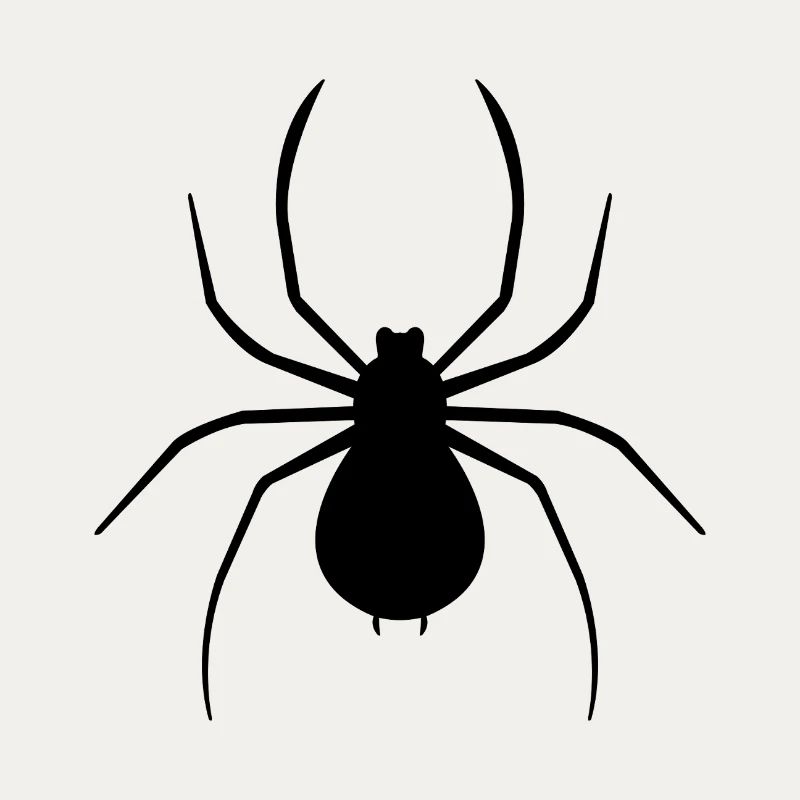 Spinne