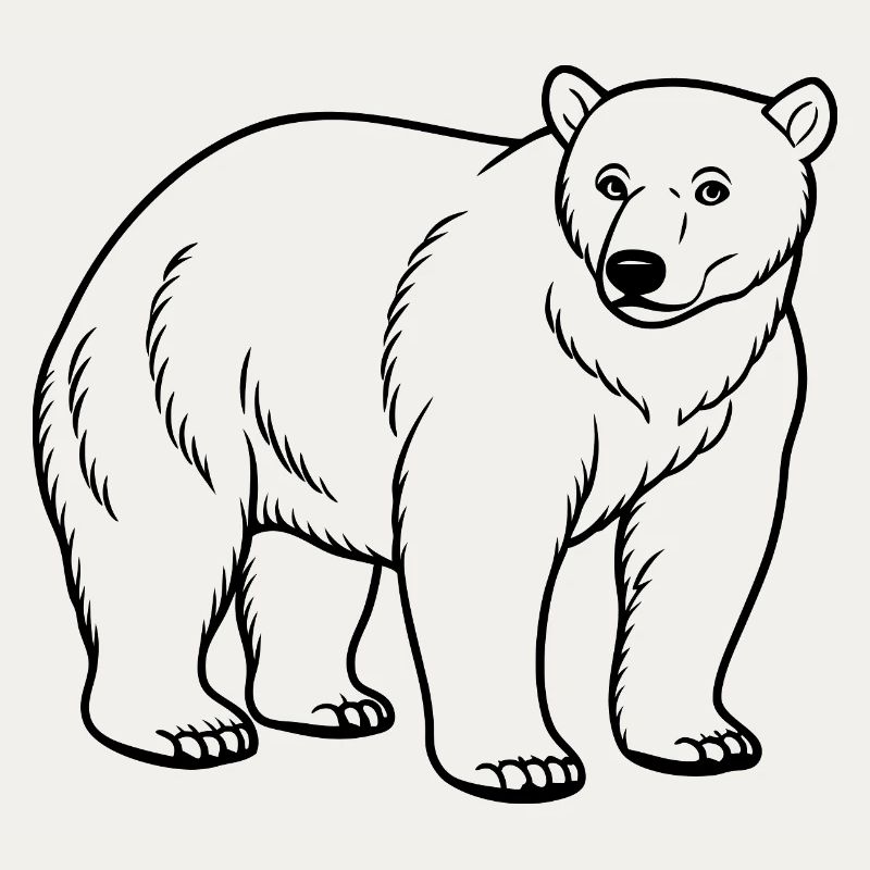 Polar bear
