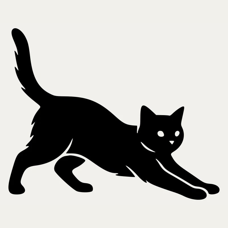 Katze