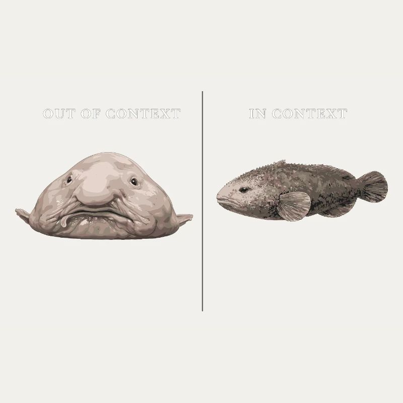 Blobfish hors contexte vs comparaison dans le contexte