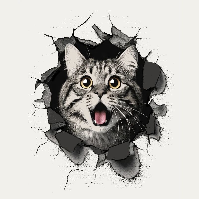 Cat Scared Wall Breakthrough Cracks