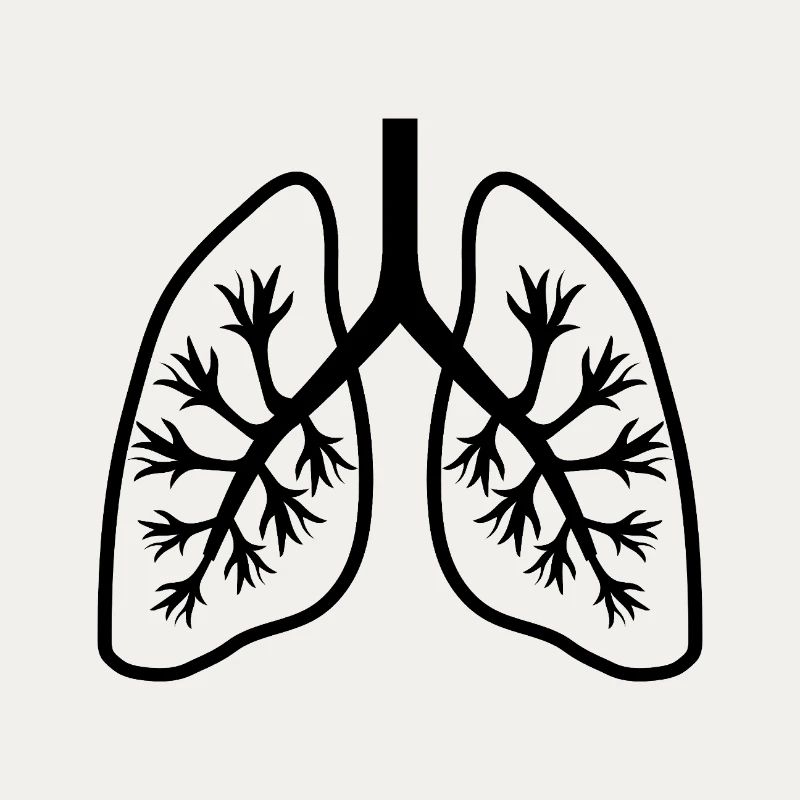 Lungs