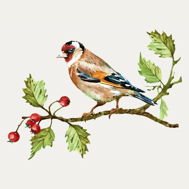 Bunter Vogel