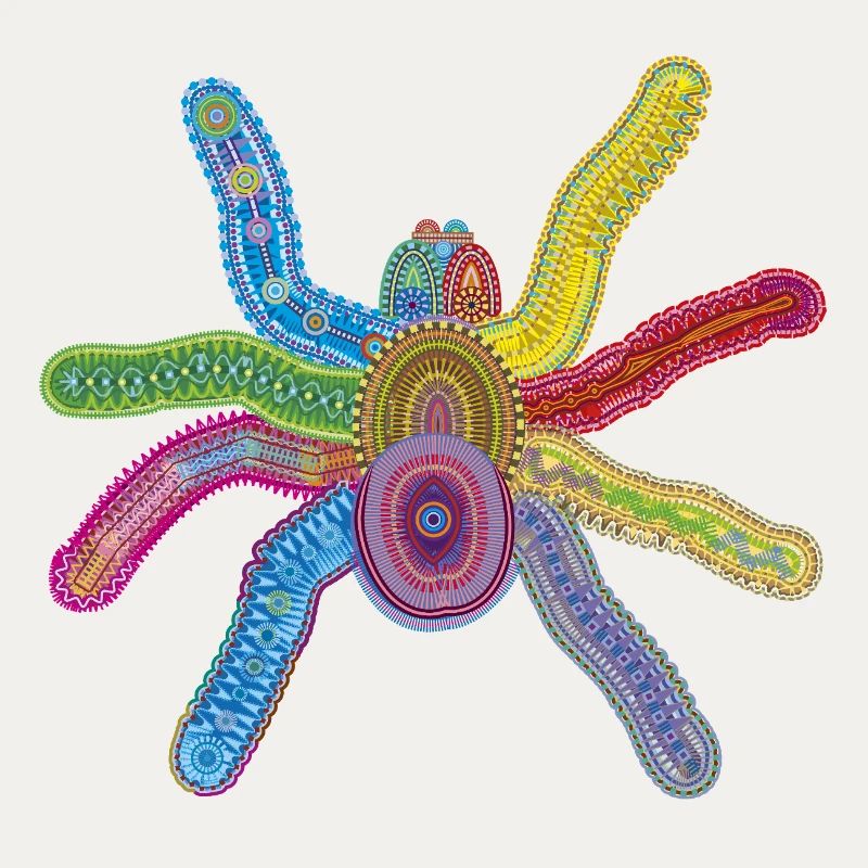 Tiefsee-Spinne