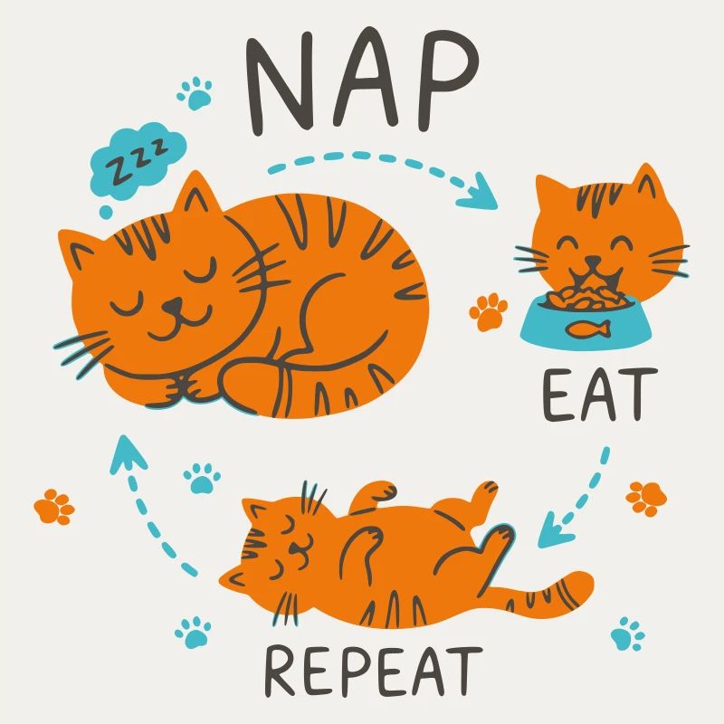 Conception de chat Manger Répétition Sieste