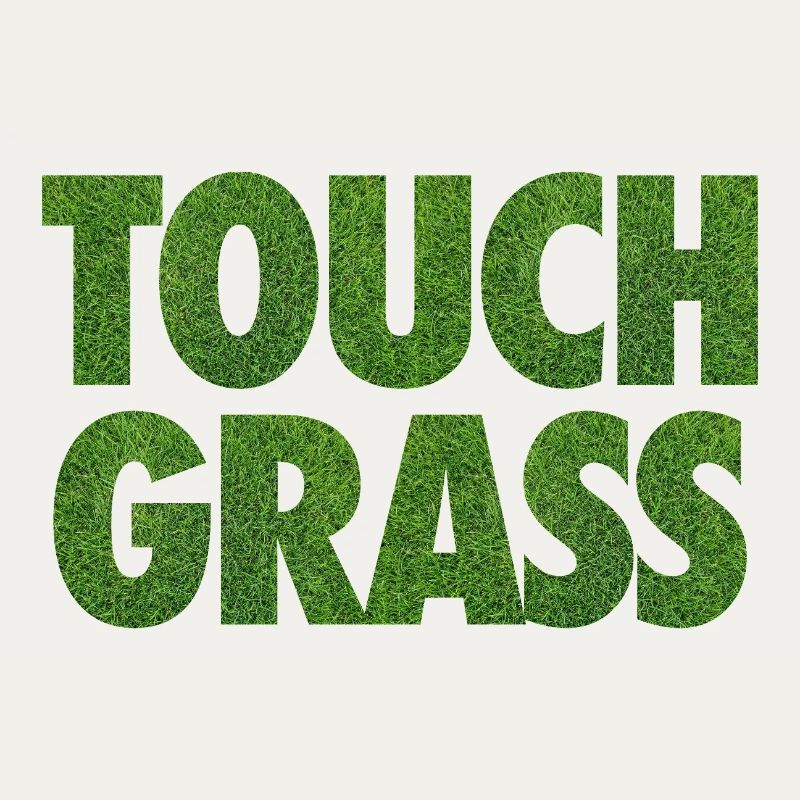 Slogan Internet du mème Touch Grass