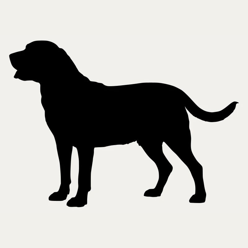 Broholm Dog