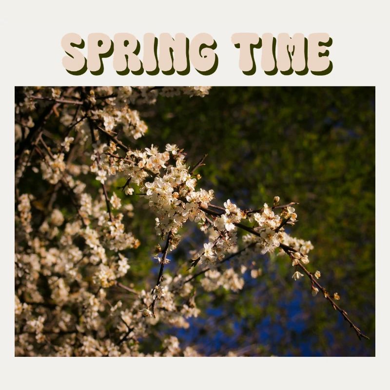 Spring time
