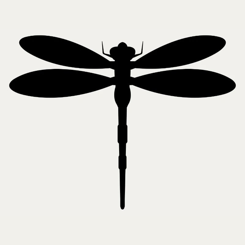 Libellule