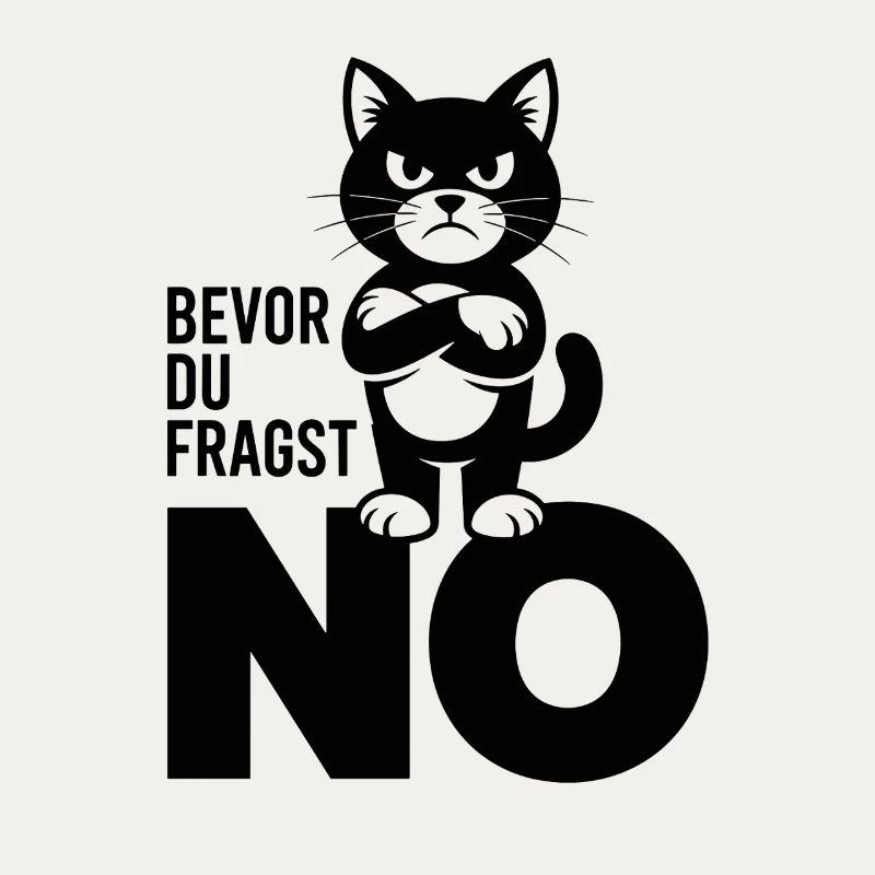  Bevor Du Fragst No Lustige Grumpy Katze