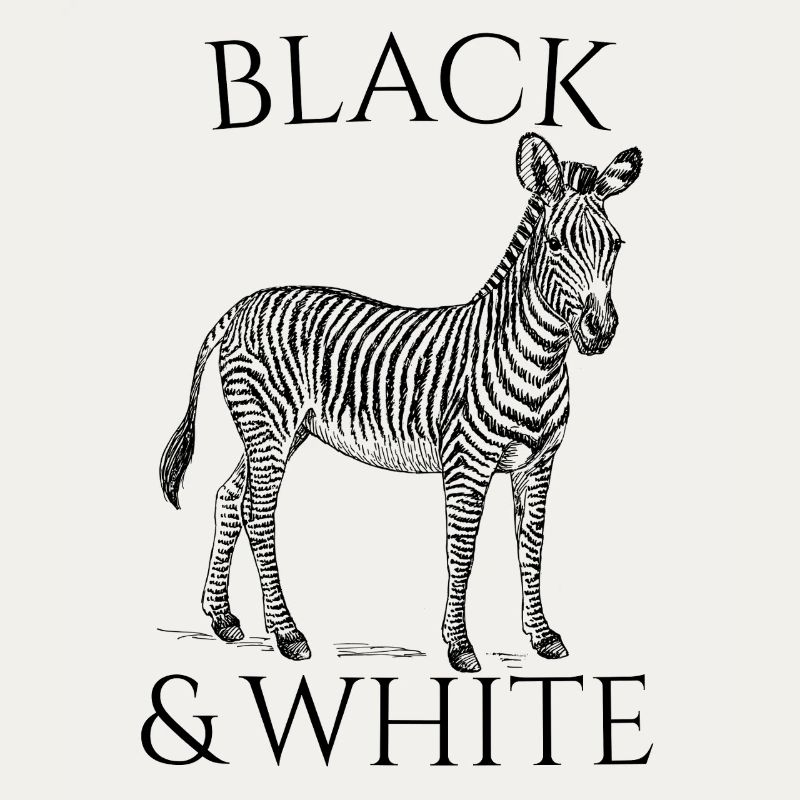 Black & White Vector Zebra – Tierdesign