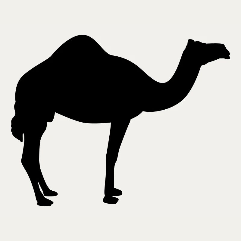 Kamel | Wüste | Dubai | Wüstenschiff