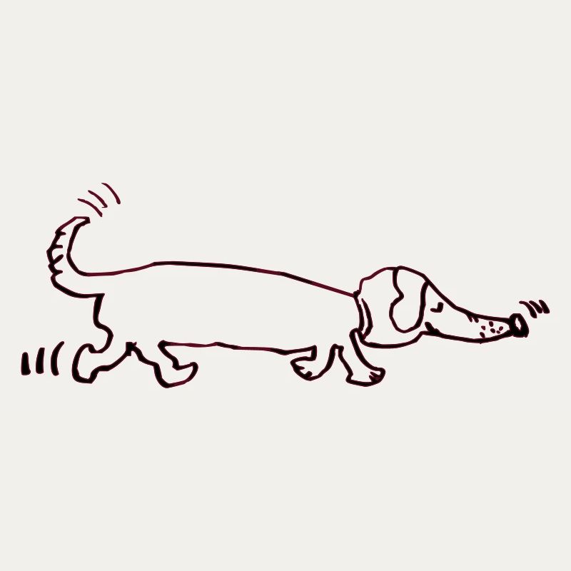 witziger Dackel, Teckel, Hund, Dachshund