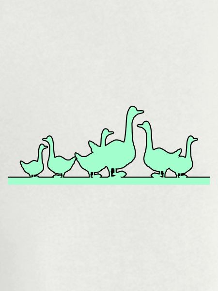Ducks Geese