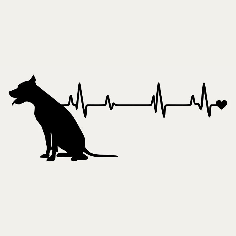 Hund