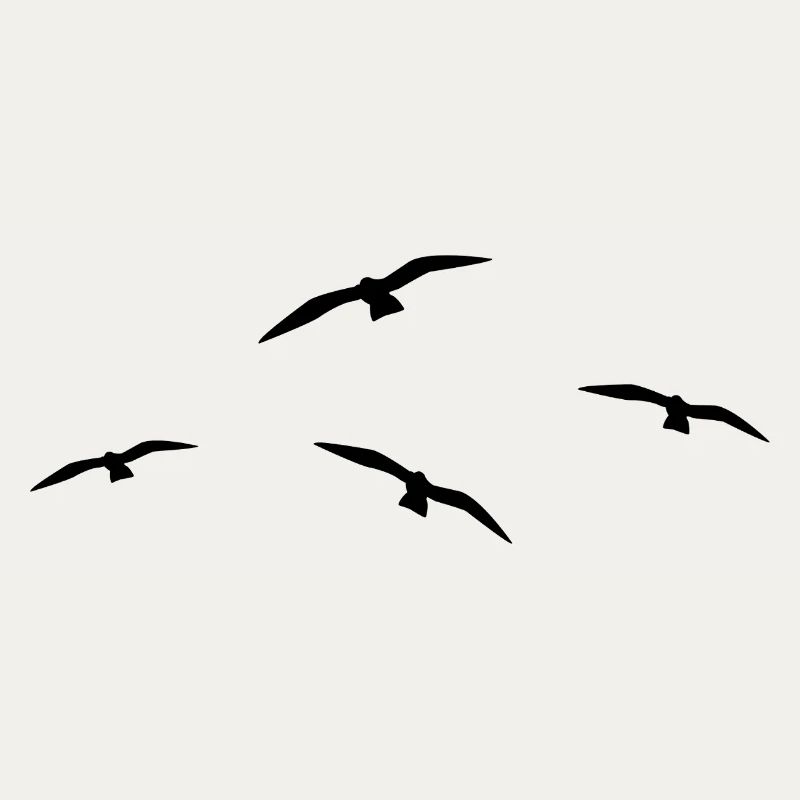 Fliegende Möwe