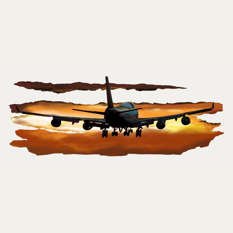Passagierflugzeug