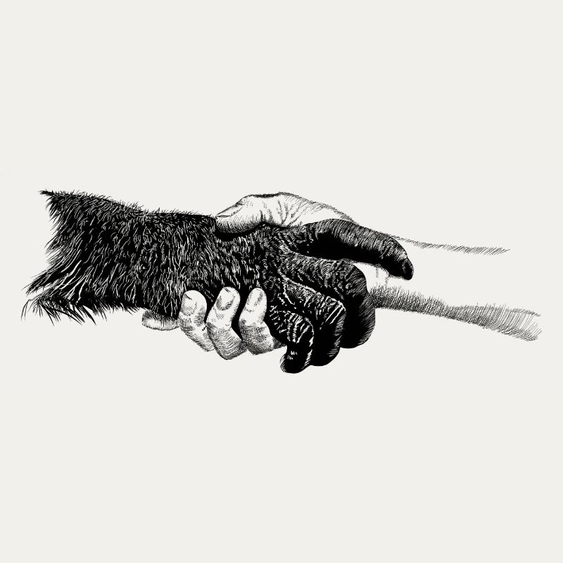 Hands