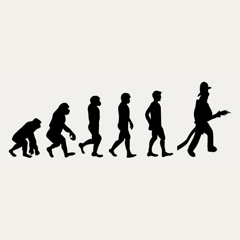 Fire evolution