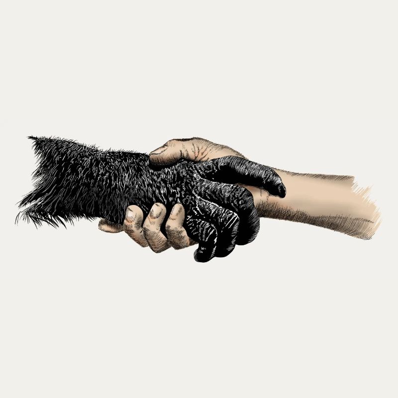Hands