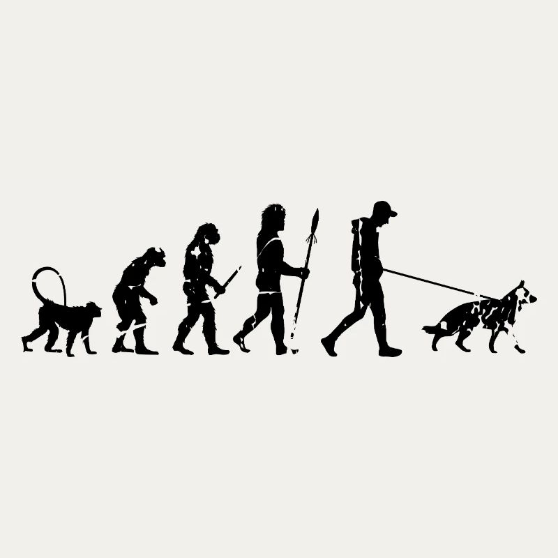 Evolution du berger allemand