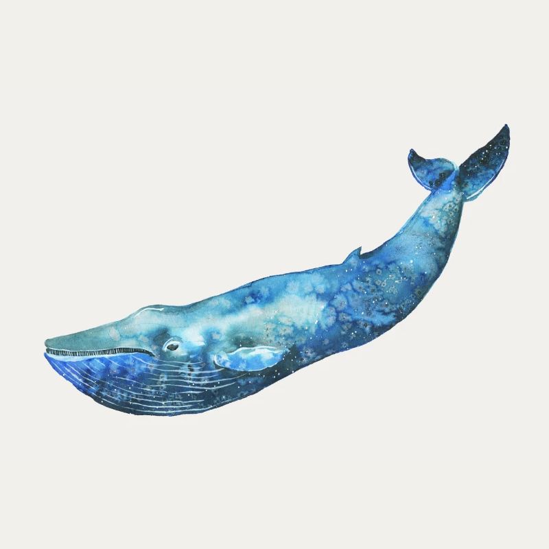 WHALE