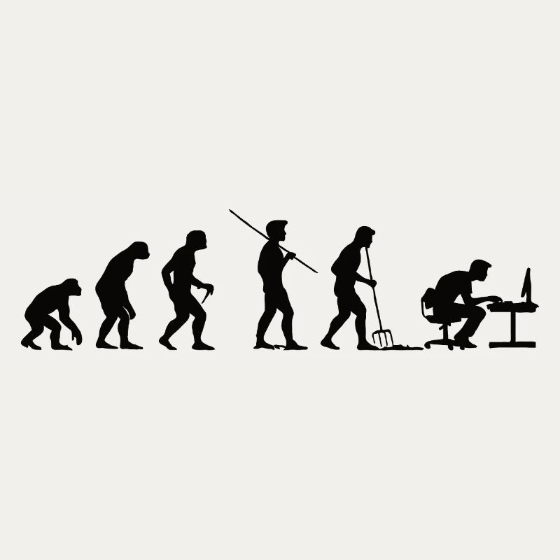 Programmeur Évolution Informaticien Développeur
