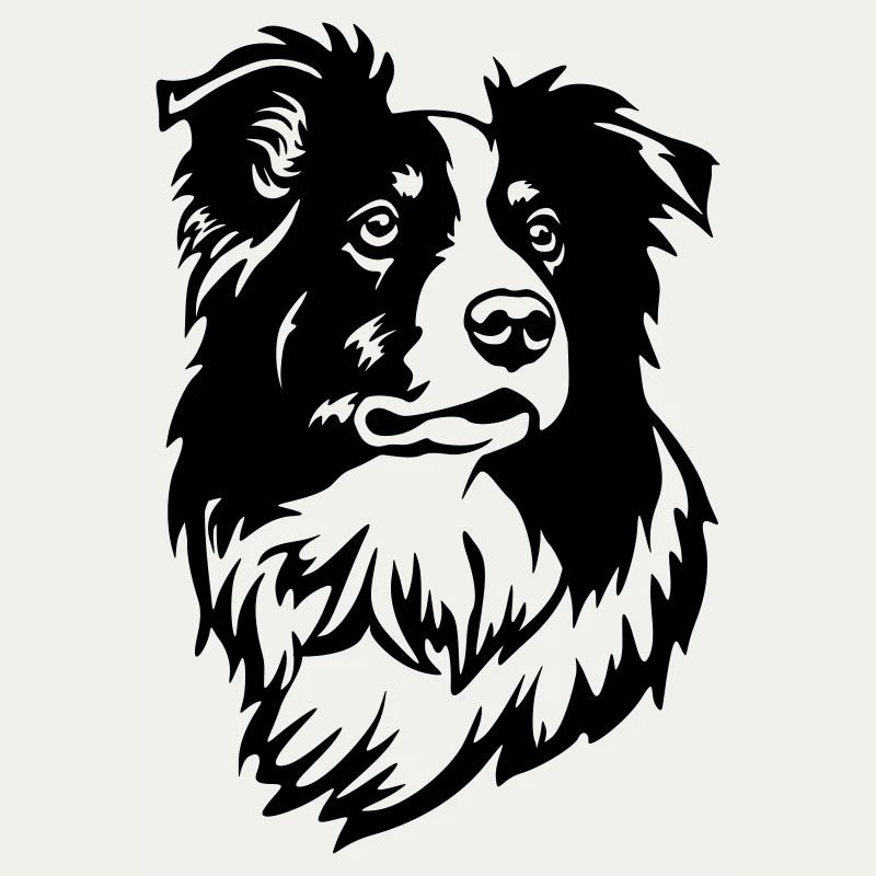 Tête de Border Collie