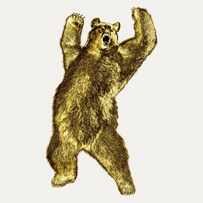 Powerful bear appearance